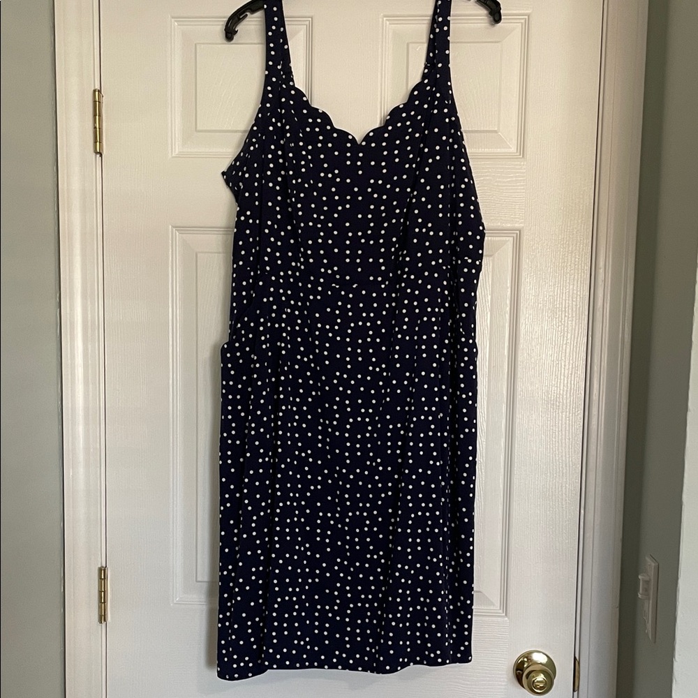 41 Hawthorn Navy and White Midi Dress